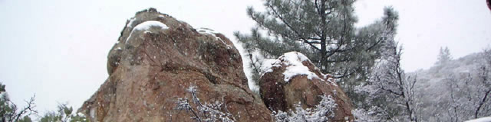 Snow on Rocky Pine Ridge